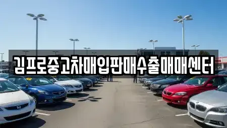 경기 포천시 소흘읍 중고차매입 전문 김프로중고차매입판매수출매매센터