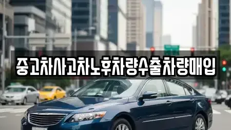 경기도 고양시 덕양구 원흥동 중고차 전문 중고차사고차노후차량수출차량매입