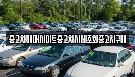 경기도 고양시 덕양구 화전동 중고차 전문 중고차매매사이트중고차시세조회중고차구매