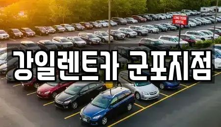 경기도 군포시 둔대동 렌트카 전문 강일렌트카 군포지점