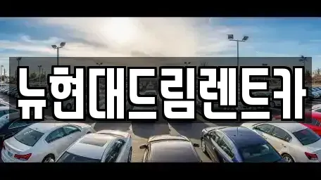 경기도 군포시 둔대동 렌트카 전문 뉴현대드림렌트카