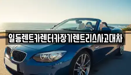 경기도 군포시 둔대동 장기렌트카 전문 일등렌트카렌터카장기렌트리스사고대차