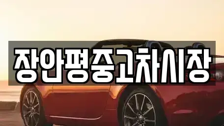 경기도 군포시 둔대동 중고차 전문 장안평중고차시장
