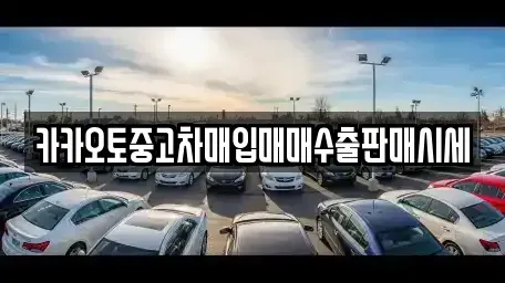 경기도 군포시 둔대동 중고차매입 전문 카카오토중고차매입매매수출판매시세