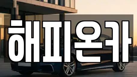 경기도 화성시 산척동 중고차 전문 해피온카