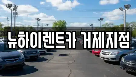 경남 거제시 양정동 렌트카 전문 뉴하이렌트카 거제지점