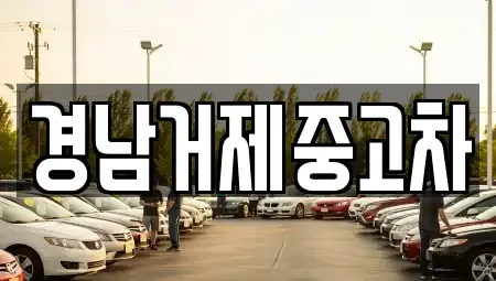 경남 거제시 양정동 중고차매매 전문 경남거제중고차