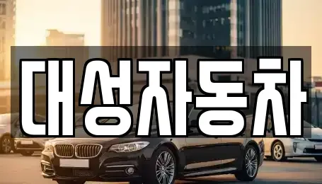 경남 거제시 양정동 중고차매매 전문 대성자동차