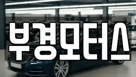 경남 김해시 생림면 중고차매매 전문 부경모터스