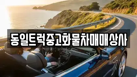 경남 김해시 어방동 중고차매매 전문 동일트럭중고화물차매매상사