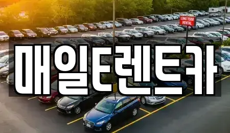 경남 김해시 주촌면 렌트카 전문 매일E렌트카