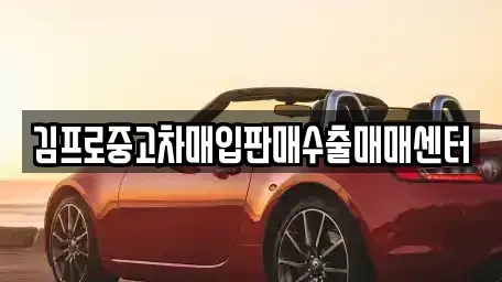 경남 김해시 주촌면 중고차 전문 김프로중고차매입판매수출매매센터