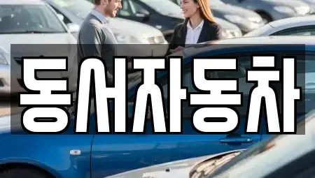 경남 김해시 주촌면 중고차 전문 동서자동차