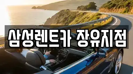경남 김해시 진례면 장기렌트카,중고차,렌트카,단기렌트카,중고차매입,중고차매매