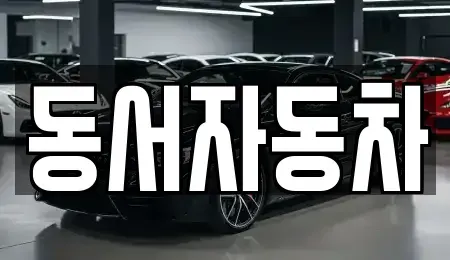 경남 김해시 진례면 중고차 전문 동서자동차