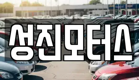 경남 김해시 진례면 중고차 전문 성진모터스