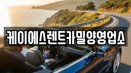 경남 밀양시 내일동 렌트카,단기렌트카,장기렌트카,중고차,중고차매매,중고차매입