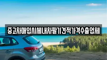경남 밀양시 내일동 중고차 전문 중고차매입시세내차팔기견적가격수출업체