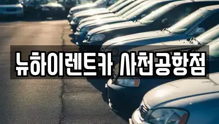 경남 사천시 정동면 렌트카 전문 뉴하이렌트카 사천공항점