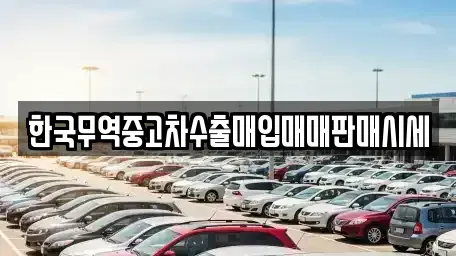 경남 사천시 정동면 중고차 전문 한국무역중고차수출매입매매판매시세