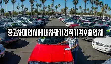 경남 사천시 정동면 중고차매입 전문 중고차매입시세내차팔기견적가격수출업체