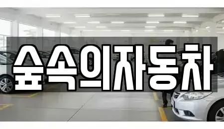 경남 양산시 물금읍 렌트카 전문 숲속의자동차