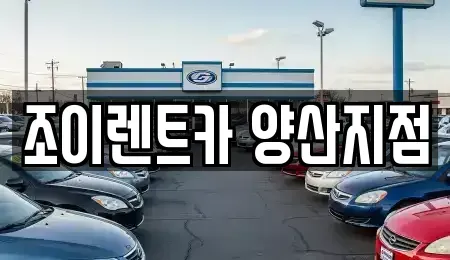 경남 양산시 물금읍 렌트카 전문 조이렌트카 양산지점