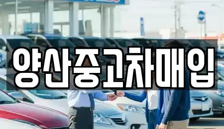 경남 양산시 물금읍 단기렌트카,중고차매입,중고차매매,중고차,렌트카,장기렌트카