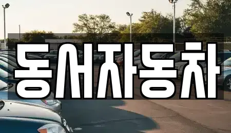 경남 창원시 마산합포구 오동동 중고차 전문 동서자동차