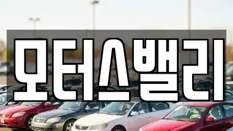 경남 창원시 마산합포구 오동동 중고차 전문 모터스밸리