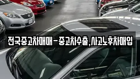 경남 창원시 마산합포구 중앙동2가 중고차매입 전문 전국중고차매매-중고차수출,사고노후차매입