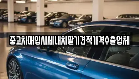 경남 통영시 중고차매입 전문 중고차매입시세내차팔기견적가격수출업체