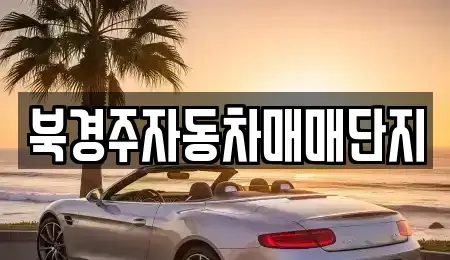 경북 경주시 안강읍 중고차 전문 북경주자동차매매단지