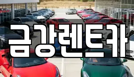 경북 청도군 렌트카 전문 금강렌트카