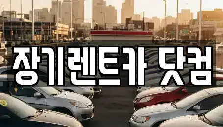 경북 청도군 장기렌트카 전문 장기렌트카 닷컴