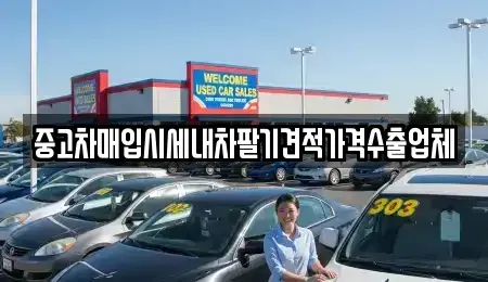 경북 청도군 중고차매입 전문 중고차매입시세내차팔기견적가격수출업체
