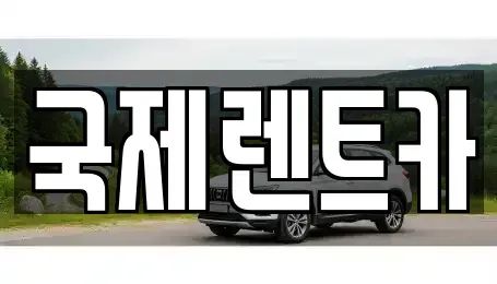 경북 칠곡군 북삼읍 렌트카 전문 국제렌트카