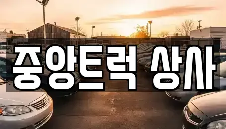 경북 칠곡군 북삼읍 중고차 전문 중앙트럭 상사