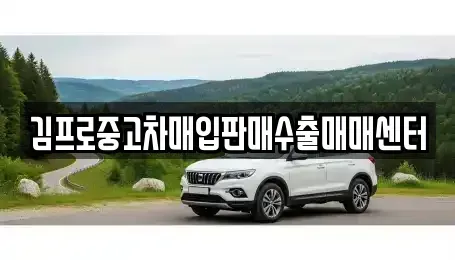 경북 칠곡군 북삼읍 중고차매입 전문 김프로중고차매입판매수출매매센터