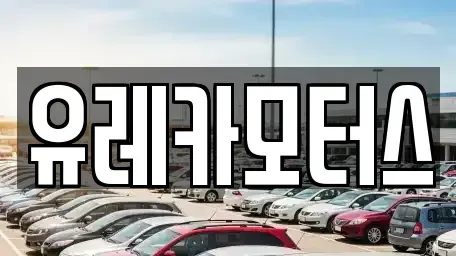경북 포항시 북구 청하면 중고차 전문 유레카모터스