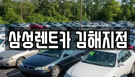 경상남도 김해시 상동면 렌트카 전문 삼성렌트카 김해지점