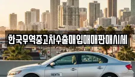 경상남도 김해시 상동면 중고차매매 전문 한국무역중고차수출매입매매판매시세