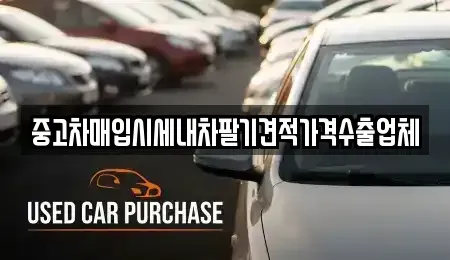경상남도 김해시 상동면 중고차매입 전문 중고차매입시세내차팔기견적가격수출업체
