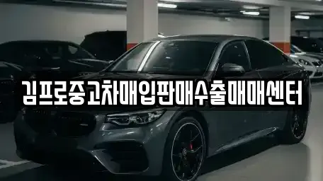 경상남도 사천시 동금동 중고차 전문 김프로중고차매입판매수출매매센터