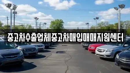 경상남도 사천시 서금동 중고차매입 전문 중고차수출업체중고차매입매매지원센터