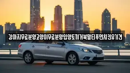 경상남도 창원시 마산합포구 대성동1가 중고차매입 전문 강아지무료분양고양이무료분양입양토끼거북말티푸먼치킨유기견