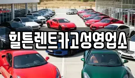 경상남도 창원시 마산합포구 진전면 렌트카 전문 힐튼렌트카고성영업소