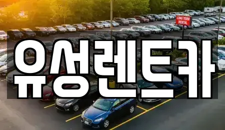경상남도 창원시 성산구 외동 렌트카 전문 유성렌트카