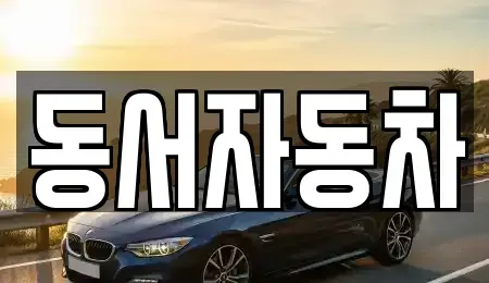 경상남도 창원시 성산구 외동 중고차 전문 동서자동차