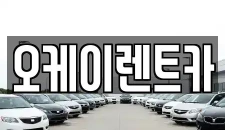 경상남도 창원시 의창구 내리동 렌트카 전문 오케이렌트카